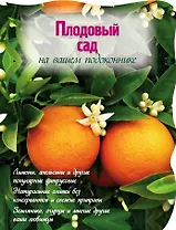 Плодовый сад на вашем подоконнике