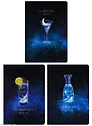 Тетрадь в линейку Wengu, Harmonious World, B5, 38 листов, в ассортименте