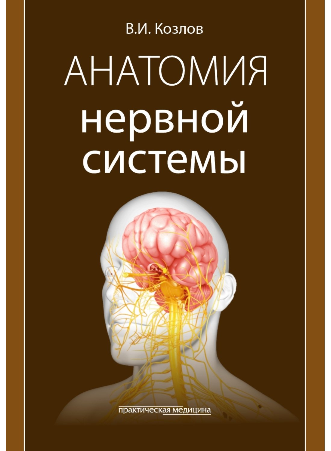 

Анатомия нервной системы: учебное пособие