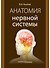 Анатомия нервной системы: учебное пособие - 0