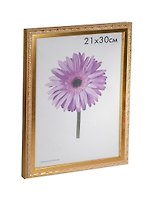 Фоторамка пластик 21*30 "Rosa" золотая, 100 рамок