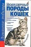 Популярные породы кошек