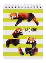 Блокнот А6 120л кл. "КРАСНАЯ ПАНДА" гребень, сплошн.УФ-лак