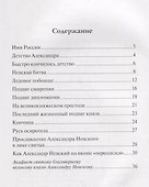 Избранный воевода Земли Российской - 1