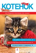 Котенок. Наглядное пособие по уходу