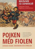 Мальчик со скрипкой. Шведские сказки, чудесные и невероятные