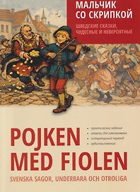 Мальчик со скрипкой. Шведские сказки, чудесные и невероятные