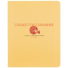 Тетрадь предметная в клетку BG, "Infinity. Обществознание", 48 листов