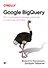 Google BigQuery. Всё о хранилищах данных, аналитике и машинном обучении - 0