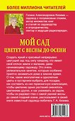 Мой сад цветет с весны до осени - 1