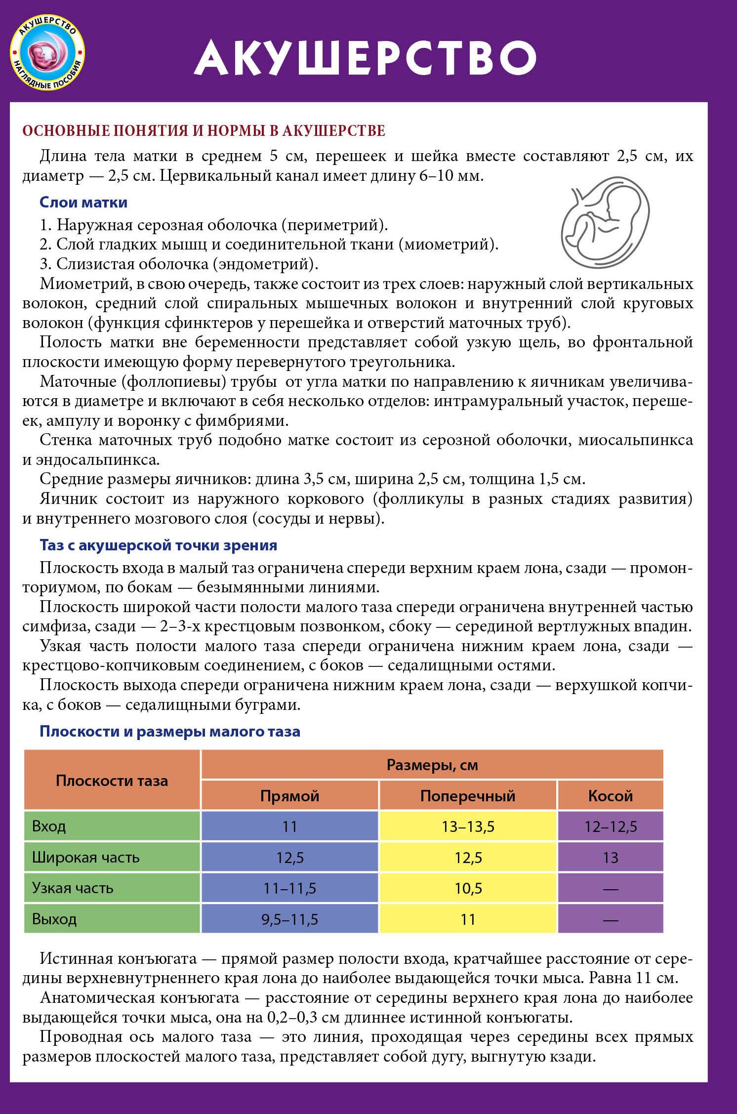 

Акушерство