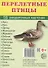 Перелетные птицы. 16 раздаточных карточек с текстом на русском и английском языках - 0
