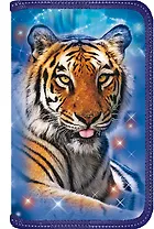 Пенал школьный 2отд. "Космические животные" лам.серебро, ассорти, Канцбург