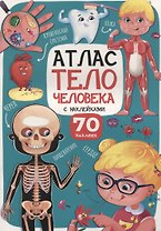 Атлас. Тело человека