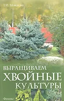 Выращиваем хвойные культуры