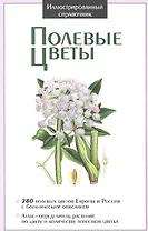 Полевые цветы