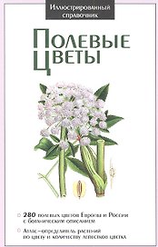 Полевые цветы