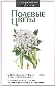 Полевые цветы