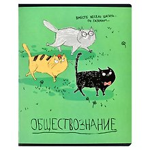 Тетрадь предметная «Любознательные коты. Обществознание» 48 листов в клетку, со справочными материалами - Феникс+