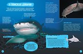 Акулы. Иллюстрированная энциклопедия - 1