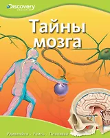 Тайны мозга
