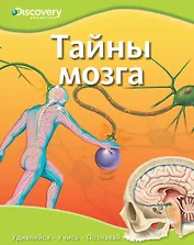 Тайны мозга