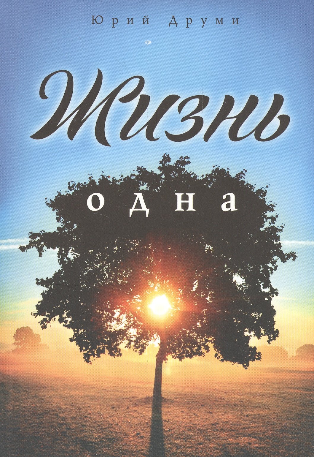 

Жизнь одна