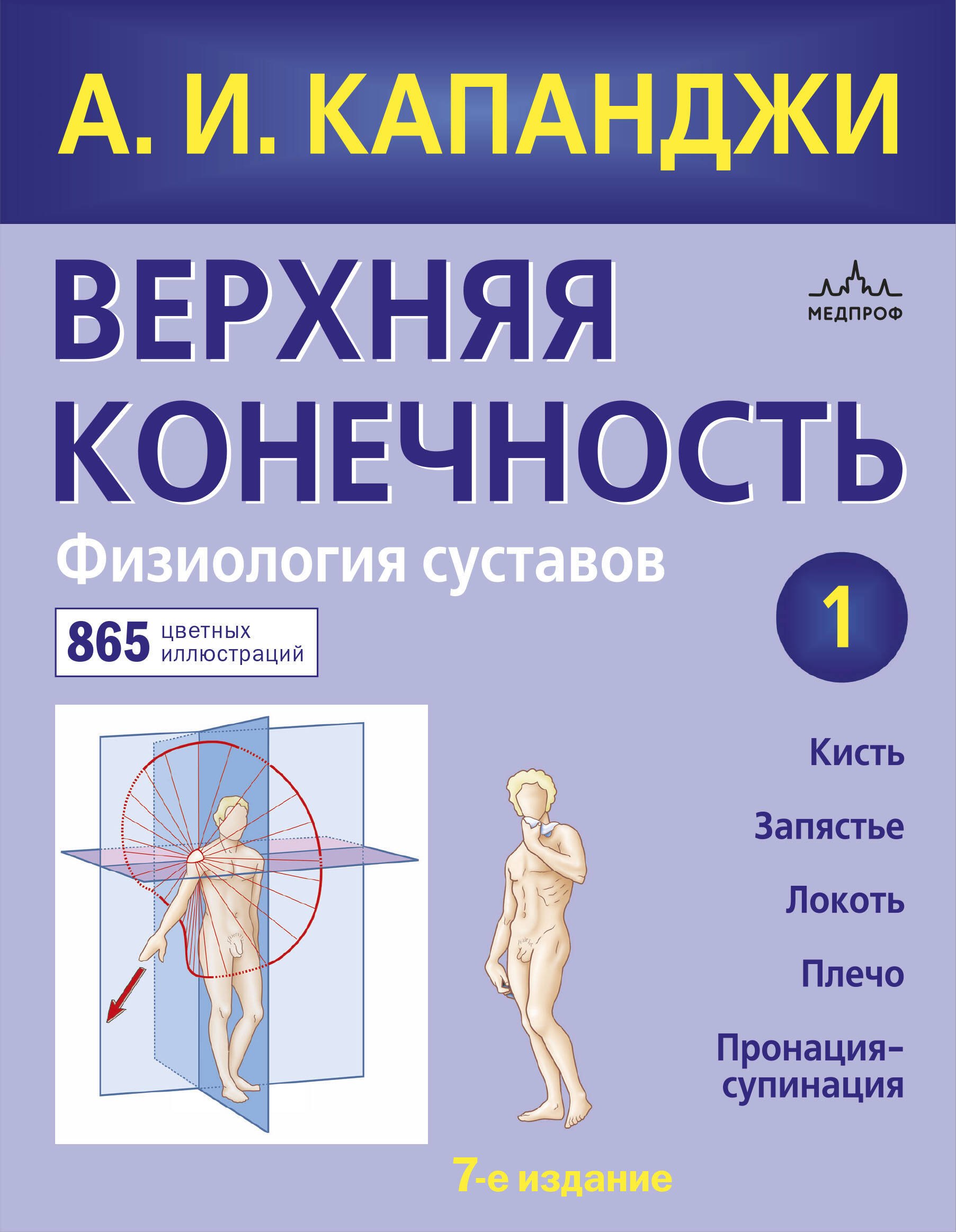 

Верхняя конечность. Физиология суставов (обновленное издание)