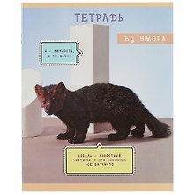 Тетрадь общая «Редкий и пушистый», 48 листов в клетку, A5, в ассортименте - Listoff