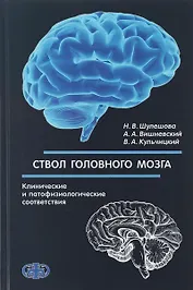 Ствол головного мозга. Клинические и патофизиологические соответствия