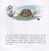 Кабанёнок Кузя - 2