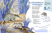 Необыкновенные звери - 2