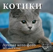 Котики. Лучшие кото-фото. 365 дней в году