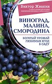 Виноград, малина, смородина. Богатый урожай любимых ягод в саду - 0