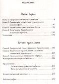 Сыны Перуна. Истоки ПравоСлавия. т.1 (Библиотека славянофила в 3-х тт.) - 2