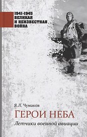 Герои неба. Летчики военной авиации