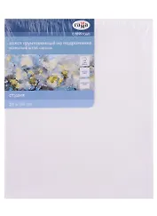 Холст на подрамнике  25*30см "Студия", 100% хлопок, мелкое зерно, Гамма