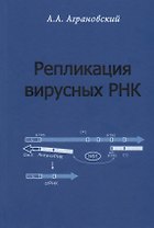 Репликация вирусных РНК