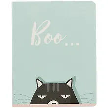 Тетрадь общая «Игривый кот», 48 листов в клетку, А5, в ассортименте - Academy Style