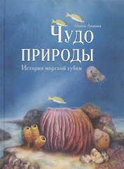 Чудо природы. История морской губки
