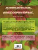 Современное декоративное садоводство Деревья и кустарники  Энциклопедия/ (+CD) - 1