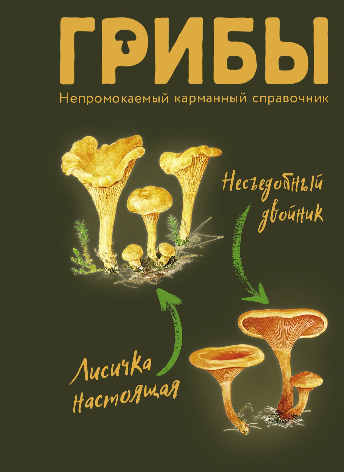

Грибы. Непромокаемый карманный справочник