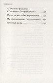 Источник радости. Беседы о Церкви и священстве - 2