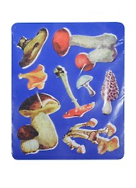 Трафарет пластмассовый фигурный Грибы (9С 450-08) (упаковка) (упак.(10))