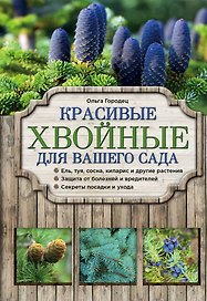 Красивые хвойные для вашего сада