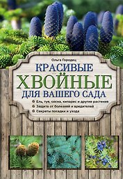 Красивые хвойные для вашего сада