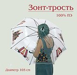 Зонт трость Санкт-Петербург. Спас. Мост цветная  графика  прозрачный [UM16-900-00015]