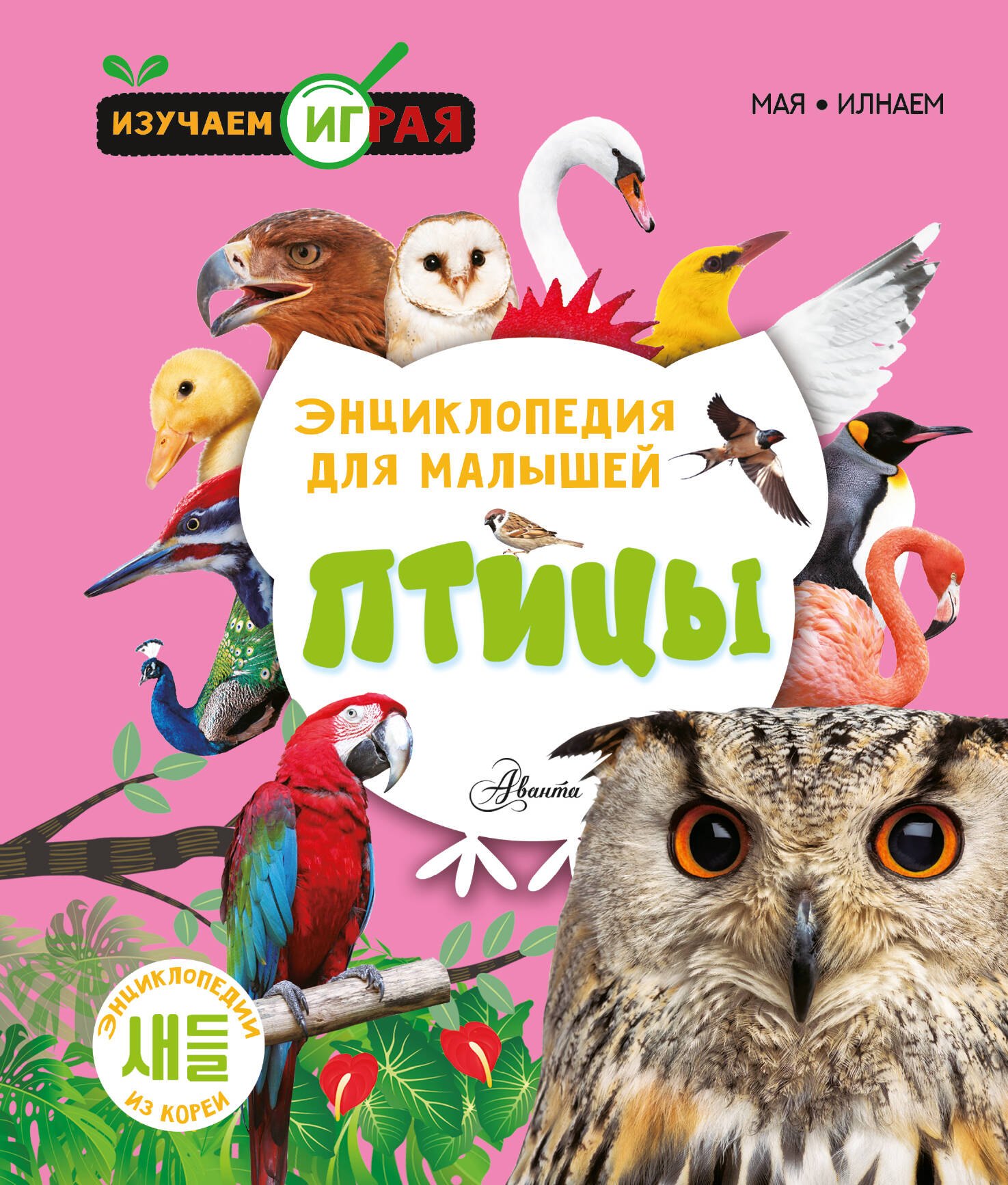 

Птицы
