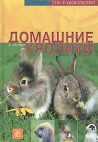 Домашние кролики
