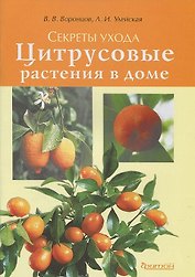 Секреты ухода.Цитрусовые растения в доме